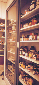 organized stocks