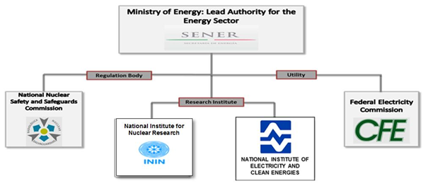 Singapore Power Organisation Chart