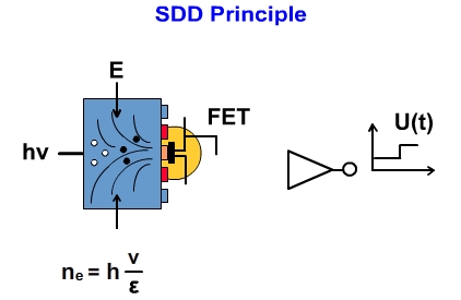 SDD Principle